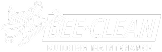 Bee Clean